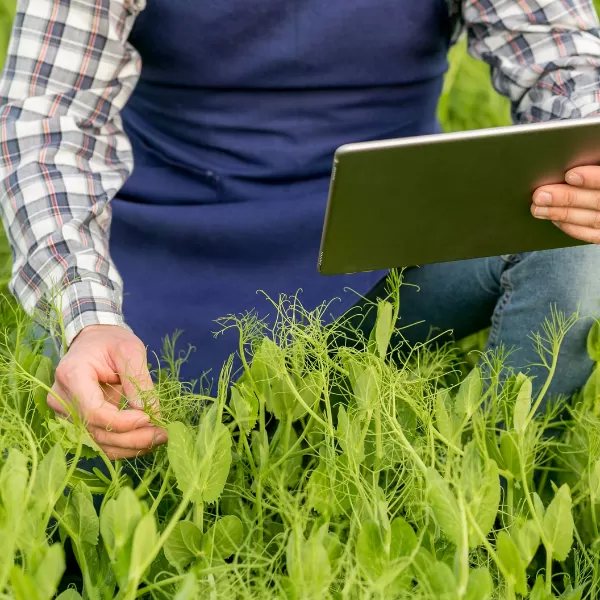 Agricoltura e prevenzione